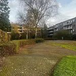 With Garden In The Heart Of The City